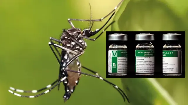 Vaccine for Dengue: డెంగీకి సింగిల్ డోస్ టీకా.. త్వరలోనే.. 