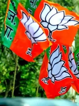 ప్రపంచంలో అతిపెద్ద రాజకీయపార్టీలు ఏవి?