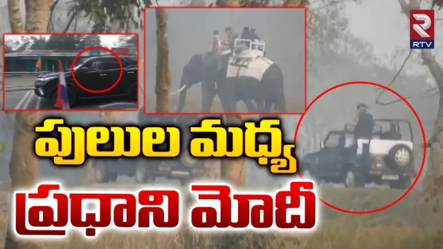 Viral Video: ఏనుగుపై ప్రధాని రయ్‌రయ్‌.. మోదీ స్వారీ మాములగా లేదుగా!