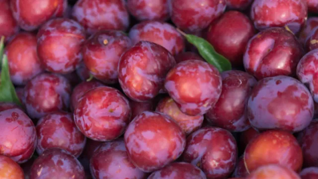 Health Tips: చిన్న పండే..కానీ పెద్ద రోగాలను దగ్గరకు రానీయ్యదు!