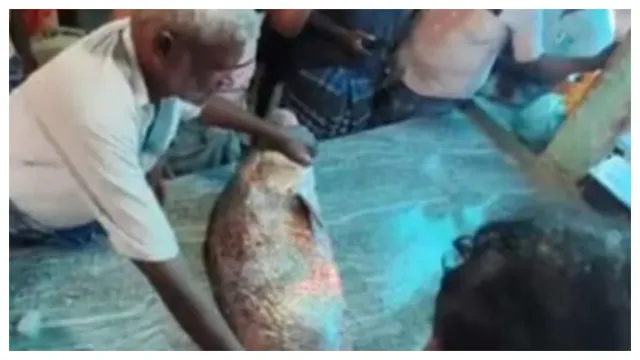 Fish Price : చేప ధర రూ.2 లక్షలా? అయినా ఈ చేపలో అంత ప్రత్యేకత ఏముంది?