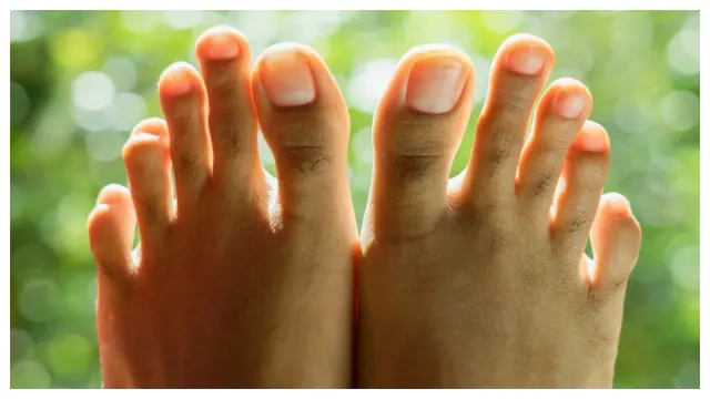 Toes : మీ కాలివేళ్ల మధ్య సందులు ఉన్నాయా.. అయితే మీరు అదృష్టవంతులు!