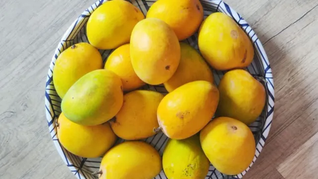 Mango Price : రికార్డు ధర పలుకుతున్న ఉలవపాడు బంగినపల్లి మామిడి!