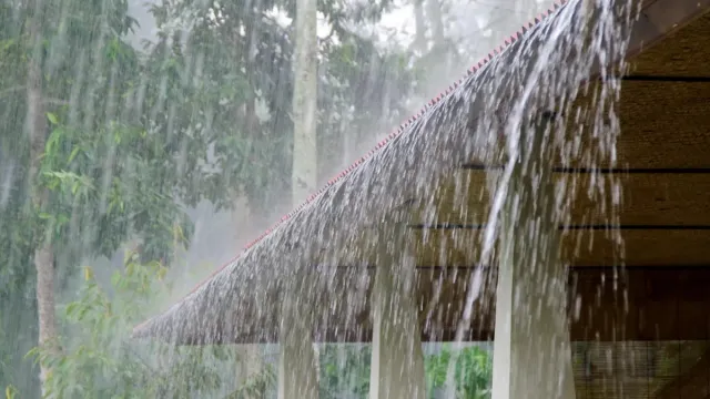 Telangana Weather Today: తెలంగాణలో భారీ వర్షాలు.. ఆ 16 జిల్లాలకు ఎఫెక్ట్!