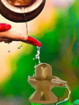 ఇంట్లో శివలింగానికి రోజు అభిషేకం చేయాలా..?