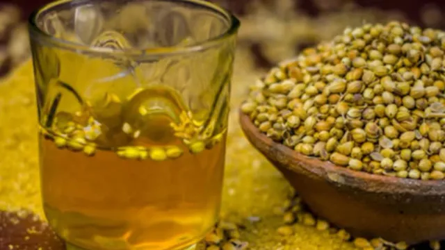 Health Tips : జీర్ణక్రియ సమస్యతో బాధపడుతున్నారా..అయితే కచ్చితంగా ఈ పంచామృతాన్ని తీసుకోవాల్సిందే!