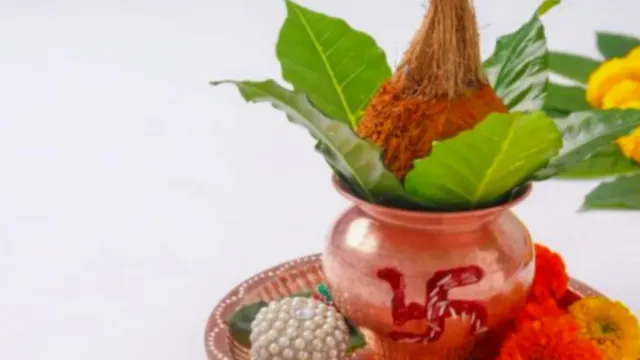 Vastu : కలశం మీద పెట్టిన కొబ్బరికాయ మొక్క వస్తే శుభమా.. అశుభమా?