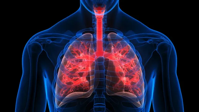 HEALTH : ఊపిరితిత్తులు దెబ్బతినే ప్రమాదం ఎవరికి ఎక్కువగా ఉంటుంది?