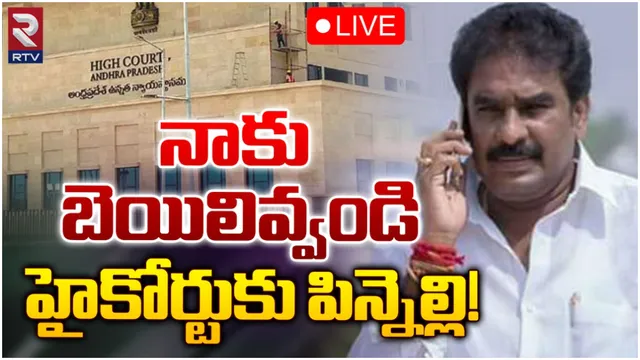 నాకు బెయిలివ్వండి.. ఏపీ హైకోర్టుకు పిన్నెల్లి!