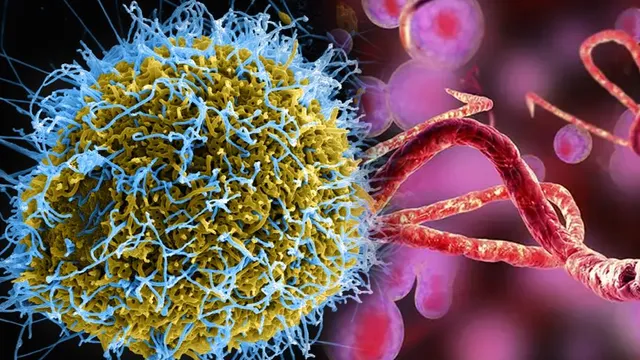 Ebola Virus:  ల్యాబ్ లో ఎబోలా వైరస్ తయారు చేసిన చైనా సైంటిస్ట్స్.. ఎందుకంటే.. 