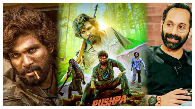 Fahadh Faasil : 'పుష్ప' తో నాకు ఎలాంటి లాభం జరగలేదు.. ఈ విషయం సుకుమార్ కి కూడా చెప్పాను, ఫహాద్ ఫాజిల్ షాకింగ్ కామెంట్స్