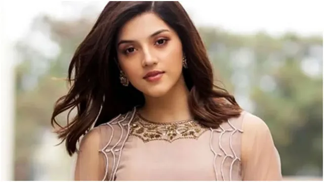 Mehreen Pirzada : మీడియా సంస్థలపై మండిపడ్డ 'ఎఫ్2' హీరోయిన్.. క్షమాపణ చెప్పాల్సిందే అంటూ?