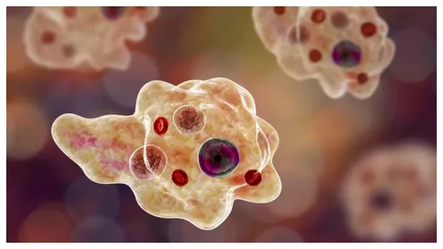 Brain Eating Amoeba : బ్రెయిన్ ఈటింగ్‌ అమీబాతో చిన్నారి మృతి..