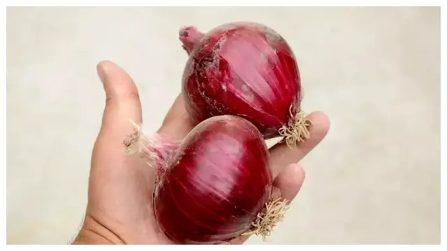 పచ్చి ఉల్లిపాయ తినటం వల్ల కలిగే ప్రయోజనాలు..