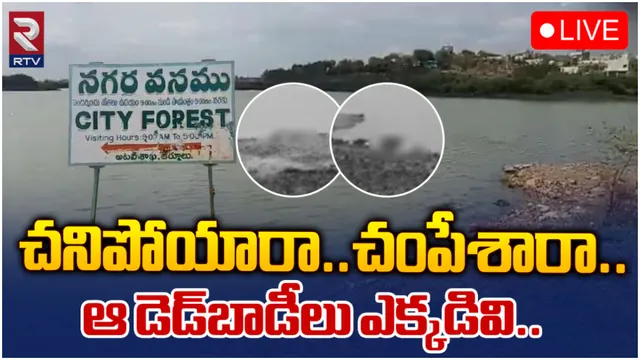 AP Crime News: కర్నూలు శివారులో హిజ్రాల మృతదేహాలు.. ఎక్కడివి?