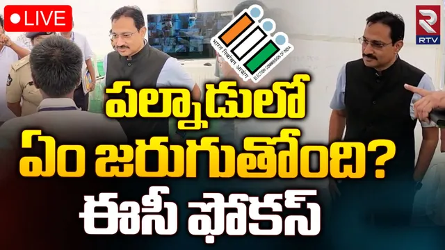 CEO : పల్నాడుపై ఈసీ స్పెషల్ ఫోకస్.. క్షేత్రస్థాయికి వెళ్లి సీఈఓ పరిశీలన
