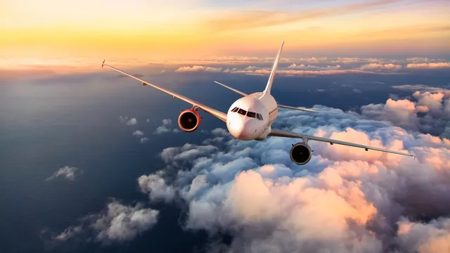 Plane Door: గాలిలో విమానం డోర్ తీయడానికి ప్రయత్నించిన హైదరాబాదీ.. 