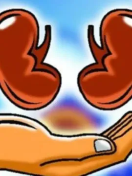 కిడ్నీలు  ఆరోగ్యంగా ఉండాలంటే తీసుకోవాల్సిన , తీసుకోకూడని ఫుడ్ ఏంటో తెలుసా!
