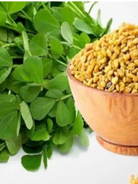 మెంతికూరతో అందం, ఆరోగ్యం రెండు మీ సొంతమే!