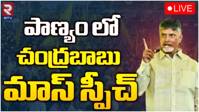 పాణ్యంలో చంద్రబాబు ఎన్నికల ప్రచారం- LIVE