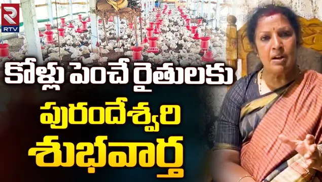 Purandeswari : కోళ్లు పెంచే రైతులకు శుభవార్త చెప్పిన పురంధేశ్వరి!