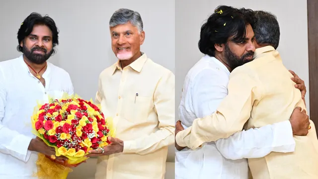 చంద్రబాబును కలిసిన పవన్ కల్యాణ్-VIDEO