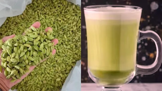 Elaichi Sherbet: ఏలకులతో ఇంట్లోనే రుచికరమైన షర్బత్‌ను ఇలా తయారు చేసుకోవచ్చు!