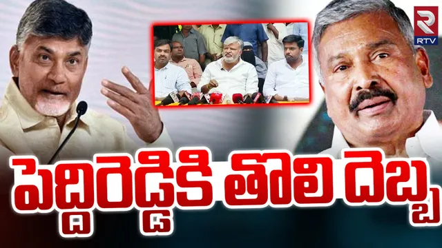 AP: మాజీ మంత్రి పెద్దిరెడ్డికి ఊహించని షాక్ ఇచ్చిన టీడీపీ!