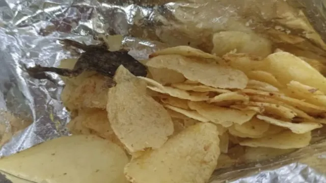 Frog In Chips Packet : చిప్స్ ప్యాకెట్ లో చచ్చిన కప్ప..ఖంగుతిన్న కస్టమర్లు!