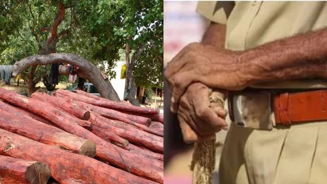 AP: కానిస్టేబుల్ కనుసన్నల్లో ఎర్రచందనం అక్రమ రవాణా..!