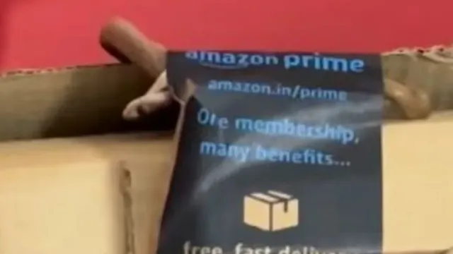 Amazon: అమెజాన్‌ పార్శిల్ లో పాము..షాకైన కస్టమర్‌!