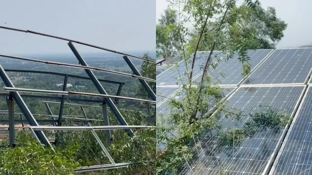 Solar Power Plant: అధోగతి పాలైన సోలార్ పవర్ ప్లాంట్.. నాలుగు కోట్ల 80 లక్షలు నేలపాలు..!