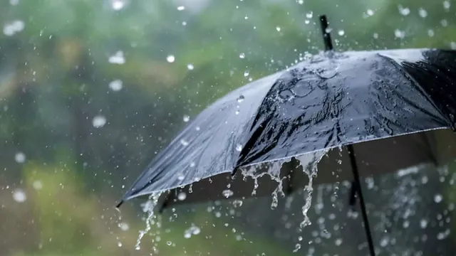 Rainy Season Tips: వర్షాకాలంలో ఈ వ్యాధులతో జాగ్రత్త!