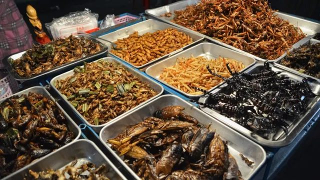 Singapore : ఆ పురుగులు తింటే ఆరోగ్యానికి మంచిదే-సింగపూర్ ఫుడ్ ఏజెన్సీ