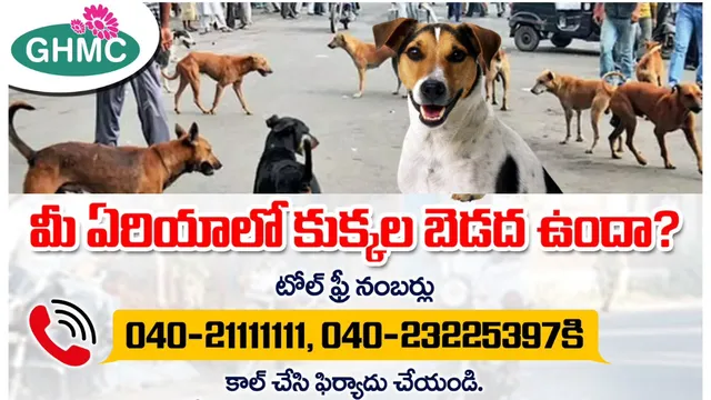 Street Dogs: మీ ఏరియాలో వీధి కుక్కల బెడద ఉందా?.. అయితే.. వెంటనే ఈ నంబర్ కు ఫోన్ చేయండి!