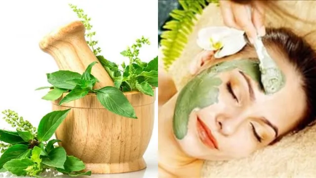 Beauty Tips: ఈ ఐదు ఆకులతో మీ ముఖం తలాతలా మెరిసిపోతుంది!