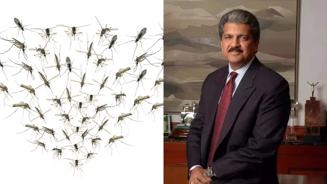 Watch Video: దోమల బెడద.. పరిష్కారం చూపించిన ఆనంద్ మహీంద్రా