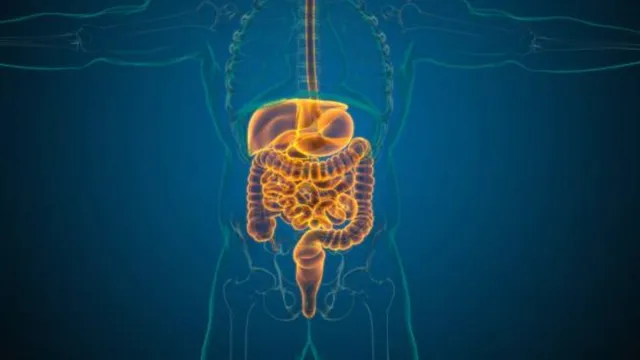 Health Tips: పేగులు ఆరోగ్యంగా ఉండాలంటే.. ఈ ఫుడ్స్ తినండి!
