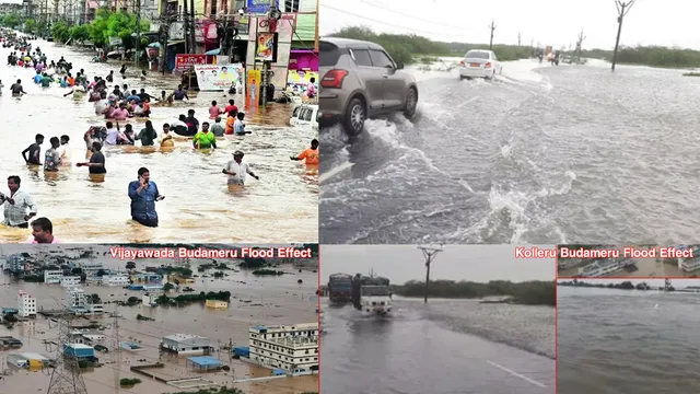 Budameru to Kolleru: ఏపీకి మరో ముప్పు.. బుడమేరు ఇప్పుడు కొల్లేరు కొంప ముంచుతుందా?