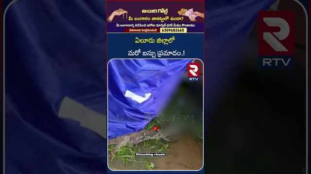 ఏలూరు జిల్లాలో మరో బస్సు ప్ర*మాదం.! | Private Travels Bus Ac*cident in Eluru District | RTV