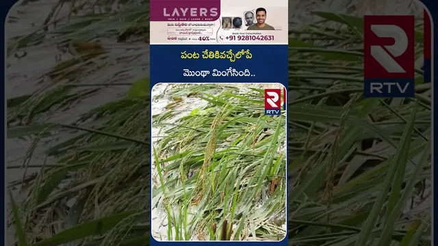 పంట చేతికివచ్చేలోపే మొంథా మింగేసింది..! | Farmers Emotional On Crop Loss Due To Montha Cyclone | RTV