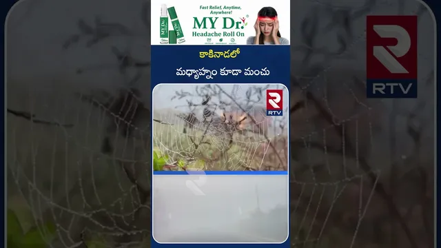 Heavy Fog in Kakinada | కాకినాడలో మధ్యాహ్నం కూడా మంచు | East Godavari | Andhra Pradesh | RTV