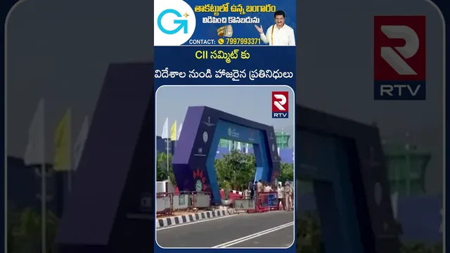 CII సమ్మిట్ కు దేశ, విదేశాల నుండి హాజరైన ప్రతినిధులు | CII SUMMIT | RTV