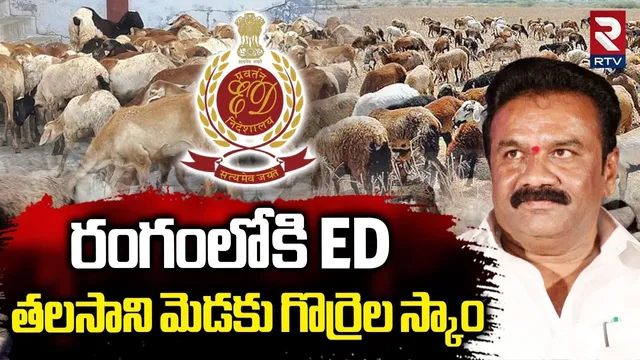 తలసాని మెడకు గొర్రెల స్కాం.. | Telangana Sheep Scam | Talasani Srinivas OSD Kalyan | ED Raids | RTV