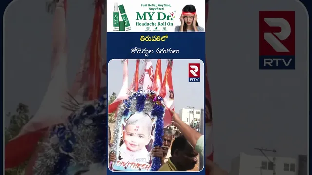 తిరుపతిలో కోడె*ద్దుల పరుగులు | Sankranthi Celebrations 2026 | Chittor District | RTV