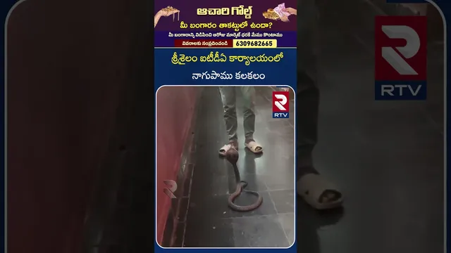శ్రీశైలం ఐటీడీఏ కార్యాలయంలో నాగుపాము కలకలం | Cobra at Srisailam ITDA Office | RTV