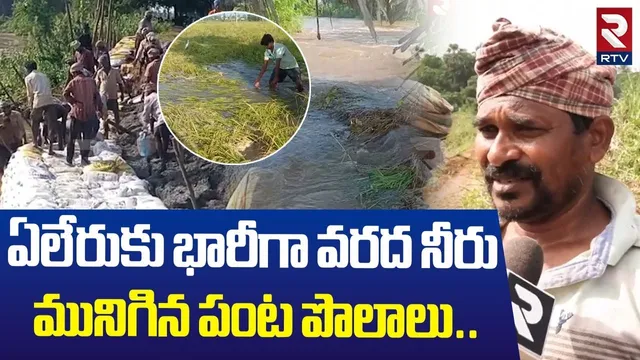 ఏలేరుకు భారీగా వరద నీరు మునిగిన పంట పొలాలు | Heavy Water Flow In To Yeleru Reservoir | Kakinada |RTV