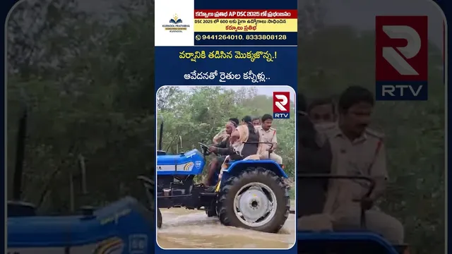 వర్షానికి తడిసిన మొక్కజొన్న.! రైతుల కన్నీళ్లు.. | Maize Crop Damaged with Heavy Rain | Kurnool | RTV