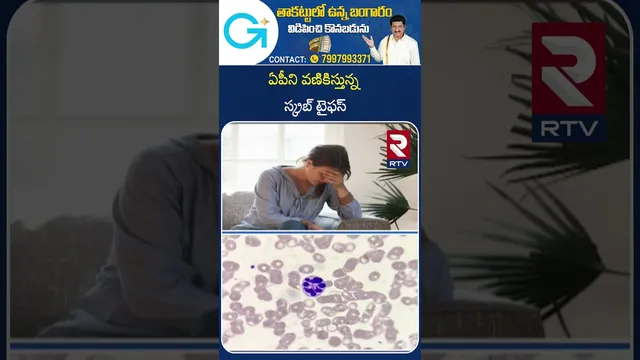 Scrub Typhus Fast Spreads In AP | ఏపీని వణికిస్తున్న స్క్రబ్ టైఫస్ | Scrub Typhus Cases | RTV