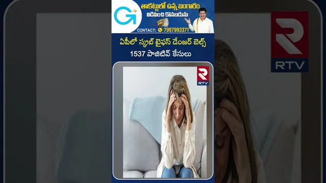 Scrub Typhus Tension in AP | ఏపీలో స్క్రబ్ టైఫస్ డేంజర్ బెల్స్ 1537 పాజిటివ్ కేసులు  | Guntur | RTV